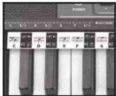 BONTEMPI i Music 15 3790 - EASY CHORD - 1