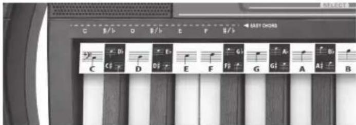BONTEMPI i Music 15 3790 - SOINNUT - 1