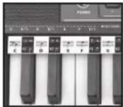 BONTEMPI i Music 15 3790 - EASY CHORD - 1