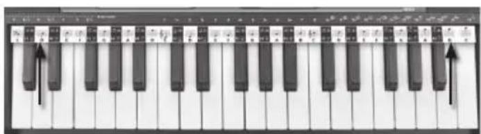 BONTEMPI i Music 15 3790 - PENKLINÉ - 1