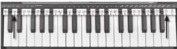 BONTEMPI i Music 15 3790 - STRISCIA PENTAGRAMMA - 1