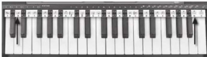 BONTEMPI i Music 15 3790 - BANDĂ PORTATIV - 1