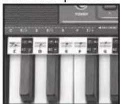 BONTEMPI i Music 15 3790 - EASY CHORD - 1