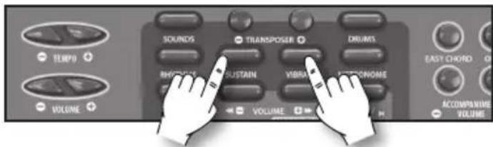 BONTEMPI i Music 15 3790 - Sustain - 1