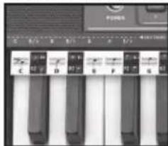 BONTEMPI i Music 15 3790 - EASY CHORD - 1