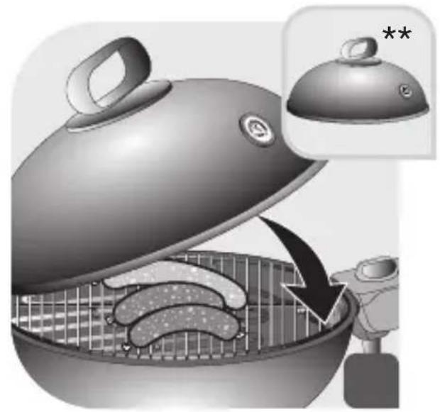 TEFAL BG9168 - SICHERHEITSHINWEISE - 41