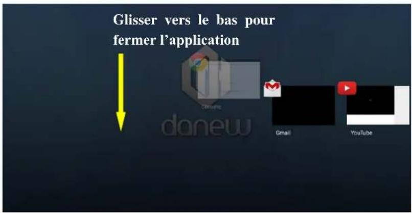 DANEW i1012 - pour installer les widgets: - 4