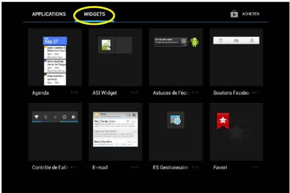 DANEW i1012 - pour installer les widgets: - 1
