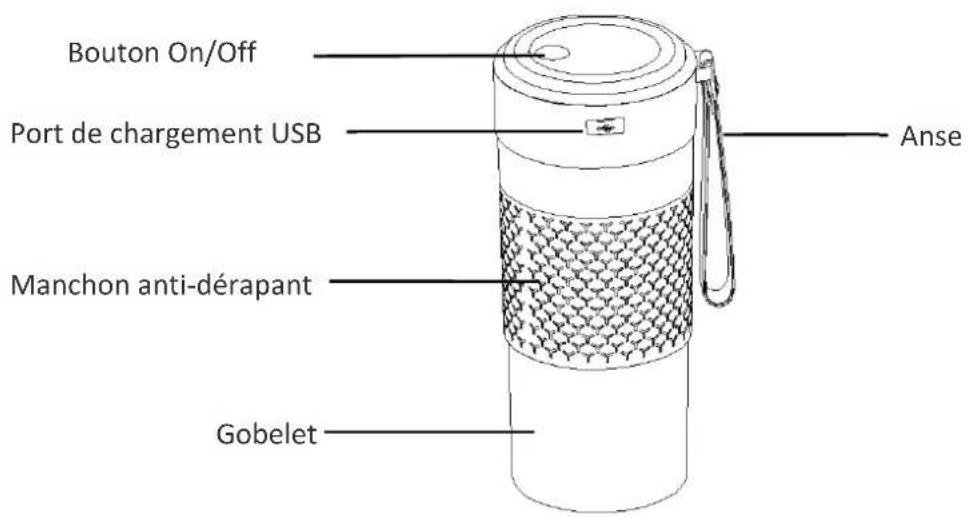 LIVOO DOP221G - Manuel d'utilisation - 1