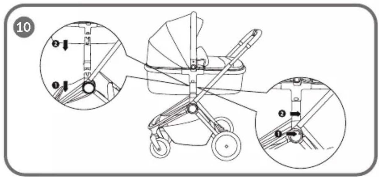 Lionelo Amber - 12