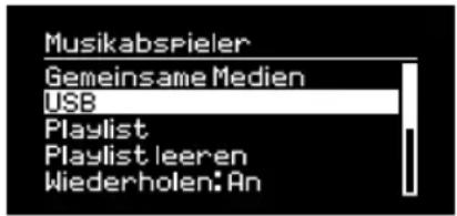 Musikabspieler Gemeinsame Medien USB Playlist Playlist leeren Wiederholen: An