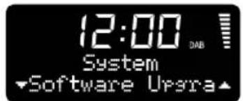 Ruark Audio R1 Mk2 - Software version (Versione del software) - 1