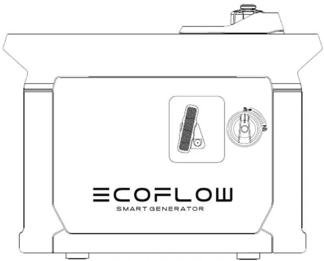ECOFLOW Smart Generator - 1