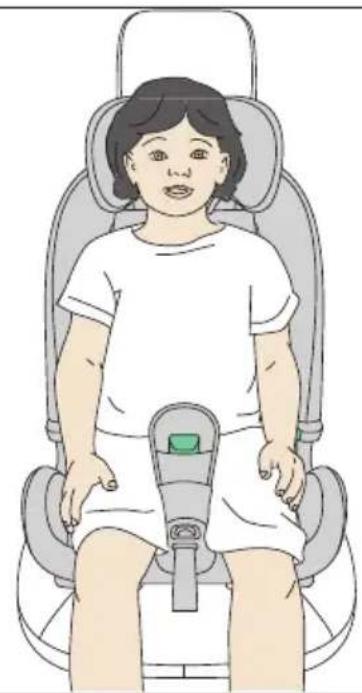 RECARO Toria Elite - 19