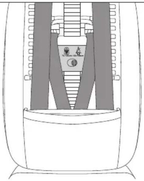 RECARO Toria Elite - 2