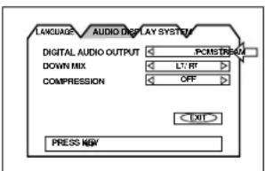 ROTEL RDV995 - Digital Audio Output - 1