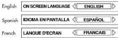 ROTEL RDV995 - On Screen Language - 3