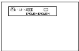 ROTEL RDV995 - Status Displays - 1
