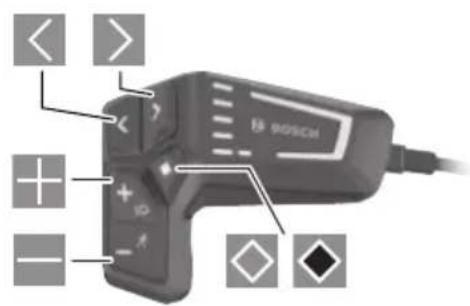 BOSCH Intuvia 100 - 257
