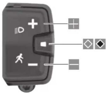 BOSCH Intuvia 100 - FR - 204