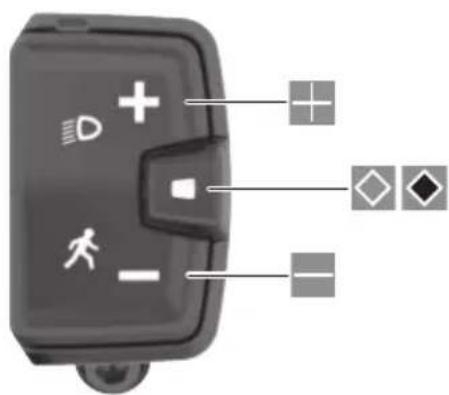 BOSCH Intuvia 100 - FR - 309