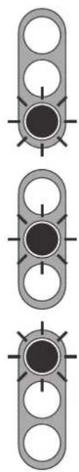 DIMPLEX RTU 101F - Indicateur comportemental - 3