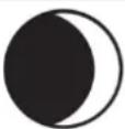 TECHNOLINE WS 1700 - Moon phase display - 6