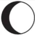 TECHNOLINE WS 1700 - Moon phase display - 8