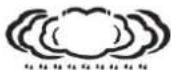 TECHNOLINE WS 1700 - Wettervorhersage - 4