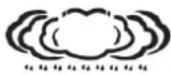 TECHNOLINE WS 1700 - Weather forecast - 4