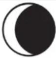 TECHNOLINE WS 1700 - Moon phase display - 4