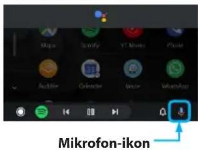 BLAUPUNKT Camper 600 DAB - Google Assistant - 1