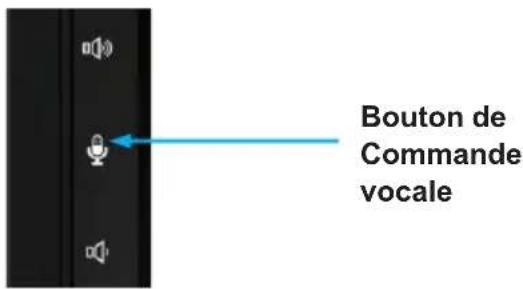 BLAUPUNKT Camper 600 DAB - Guidage - 1