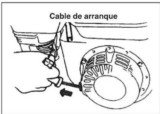 Cable de arranque