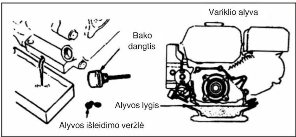 Variklio alyva Bako dangtis Alyvos lygis Alyvos išleidimo veržlė