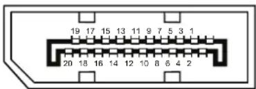 19 17 15 13 11 9 7 5 3 1 20 18 16 14 12 10 8 6 4 2