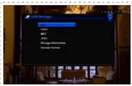 USB Manager Wi-Fi Wi-Fi2 Apache Storage Information Storage Format