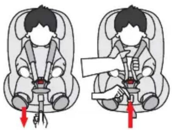Illustration showing two child car seatbelting instructions with red arrows indicating downward movement or adjustment.