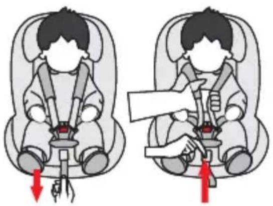 Osann Niki kid - Rotación del asiento infantil - 2