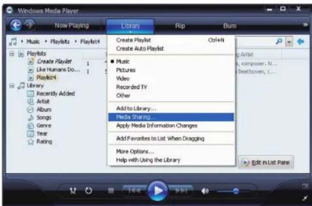 ROTEL RDG1520 - Hactpoika cepBepa UPnP B nepcohaJIbHOM KcMnIbItepe - 1