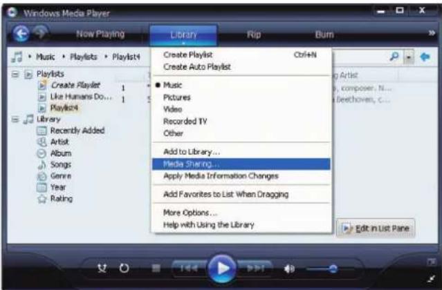ROTEL RDG1520 - Impostazione di Server UPnP in PC - 1