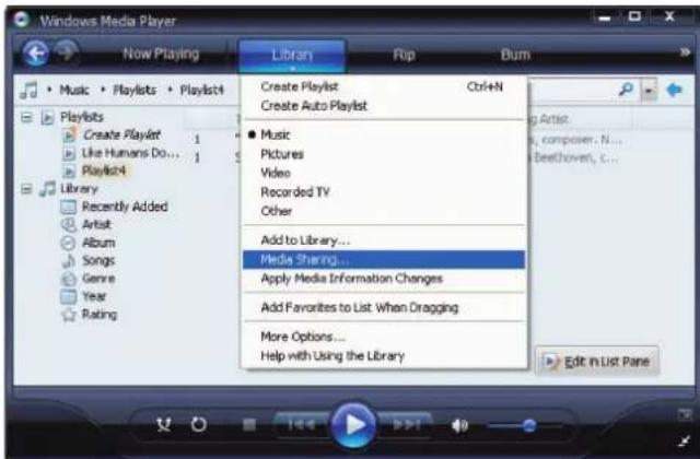 ROTEL RCX1500 - Setup eines PCs als UPnP-Server - 1