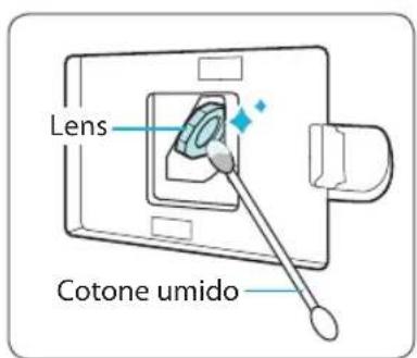 Lens Cotone umido