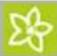 Kärcher CW 5 Klean!Star Q - Settings - 2