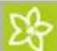 Kärcher CW 5 Klean!Star Q - Pantalla de inicio - 2