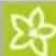 Kärcher CW 5 Klean!Star Q - λειτουργία - 3