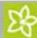 Kärcher CW 5 Klean!Star Q - Mantenimiento necesario - 3