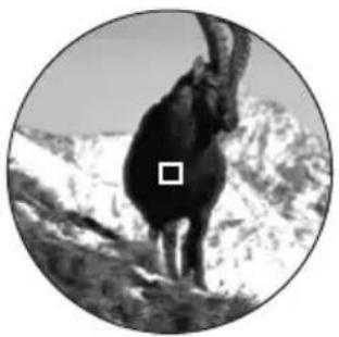 LEICA Geovid R 10x42 - ИЗМЕРЕНИЕ РАССТОЯНИЯ - 1