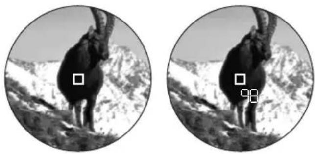 LEICA Geovid R 10x42 - MESURE de la distance - 1