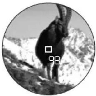 LEICA Geovid R 10x42 - Указания: - 1